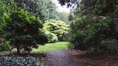 Nature forests paths