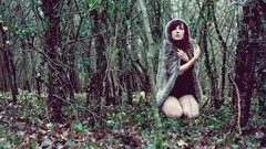 Nature forests redheads