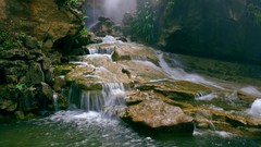 Nature forests rivers