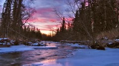 Nature forests rivers