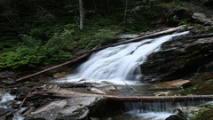 Nature forests rivers multiscreen