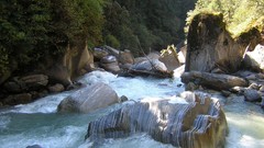 Nature forests rivers rapids