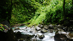 Nature forests rocks rivers