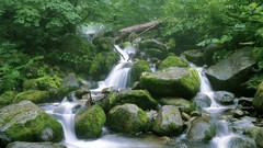 Nature forests rocks rivers