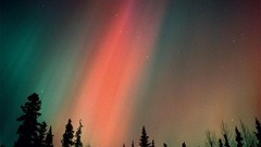 Nature forests skyscapes