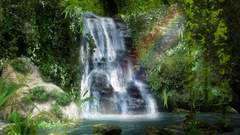 Nature forests waterfalls