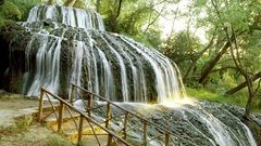 Nature forests waterfalls