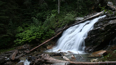Nature forests waterfalls