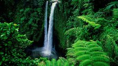 Nature forests waterfalls