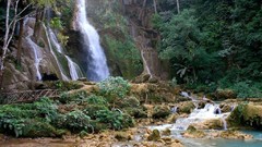 Nature forests waterfalls