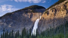 Nature forests waterfalls