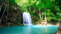 Nature forests waterfalls