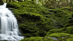 Nature forests waterfalls rivers