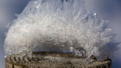 Nature frost pole
