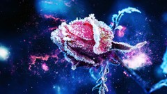 Nature Frozen clearance effects