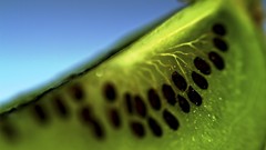 Nature fruits kiwi macro