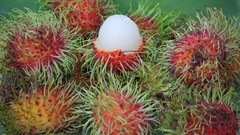 Nature fruits tropical