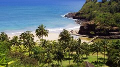 Nature Garden Hawaii valleys Kauai