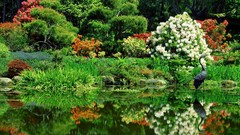 Nature Garden Landscapes