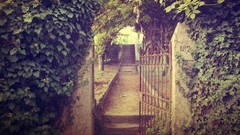 Nature gate architecture