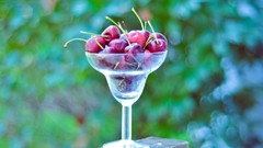 Nature glass cherries macro