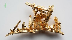 Nature gold crystals minerals