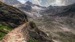 Nature gold old trail