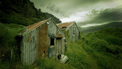 Nature grass abandoned houses