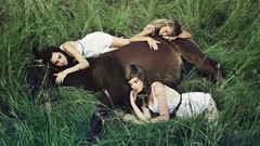 Nature grass Animals woman Horses sleeping fashion models