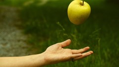 Nature grass apples hands arm