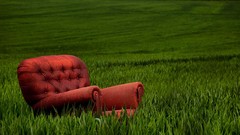 Nature grass chairs fields armchairs