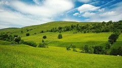 Nature grass fields blue skies