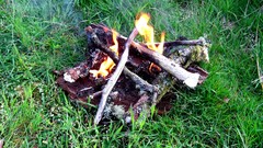 Nature grass fire Wood burning