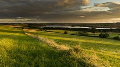 Nature grass Green fields