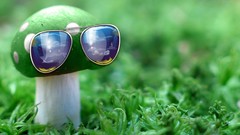 Nature grass Green mushrooms sunglasses