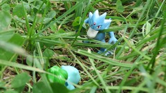 Nature grass Green Pokemon bulbasaur Golduck pokemon battle