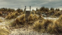Nature grass heaven England