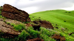 Nature grass hills stones