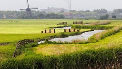 Nature grass holland Villages