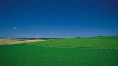 Nature grass land Green skyscapes