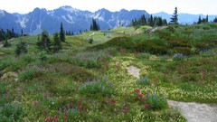 Nature grass Mountains