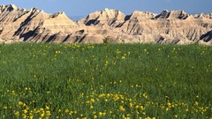 Nature grass Mountains