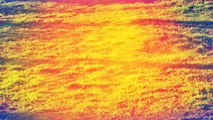 Nature grass Mountains colors fields sunlight multicolor photo 