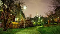 Nature grass night trail lamb Parks tree house