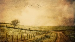 Nature grass old roads vintage