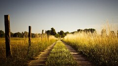 nature grass road landscape dirt road field fence dirt dry grass