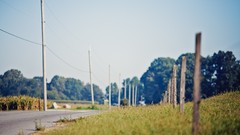 Nature grass roads fences