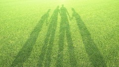 Nature grass shadows sunlight