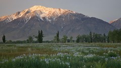 Nature grass snow Mountains