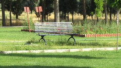 Nature grass summer bench iran artwork